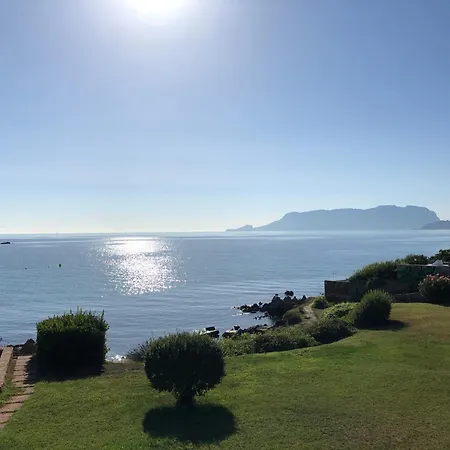 Bados