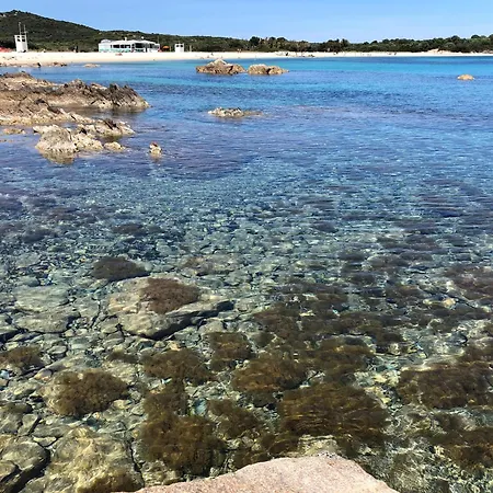 Bados Olbia